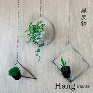 GRAVIRoN Hang Plants シリーズ Triangle/Diamond/Round セット 黒皮鉄(プランツハンガー) 観葉植物 プランター