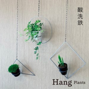 GRAVIRoN Hang Plants シリーズ Triangle/Diamond/Round セット 酸洗鉄(プランツハンガー) 観葉植物 プランター