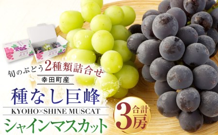 幸田町産「ハウス栽培旬のぶどう」2種類詰合せ(種なし巨峰×2、シャインマスカット×1)3房 ※7月中旬〜8月上旬に発送予定 ※着日時指定不可 ※北海道・沖縄・離島への発送不可※ ぶどう