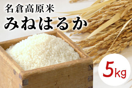 �ߘa7�N�x�Y�����������`���q�����āu�݂˂͂邩�v5kg -016