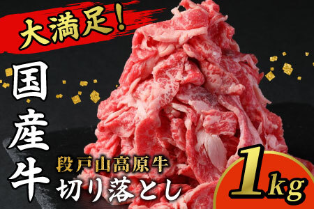 Y iˎR ؂藎Ƃ 1kg i200×5j𔔈炿 ̋   Ⴊ H  -070