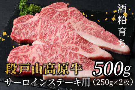 酒粕育ち 幻の牛 段戸山高原牛 サーロイン ステーキ用 2枚(250g×2) 500g 蓬莱泉 ブランド牛 国産牛 お祝い 贈答-076