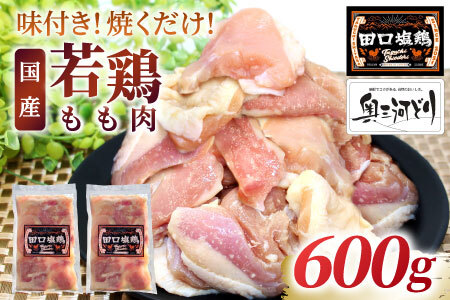 奥三河どり使用! 田口塩鶏 味付け もも肉 600g 塩ダレ 味付け肉 鶏肉 鶏 肉 キャンプ バーベキュー 味付け肉 大容量 手軽 焼くだけ 地鶏 焼肉 焼き鳥 -173
