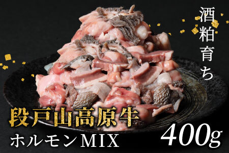 Y iˎR zMIX 400g  ēp z zĂ  ē BBQ Lv  SĂ -189