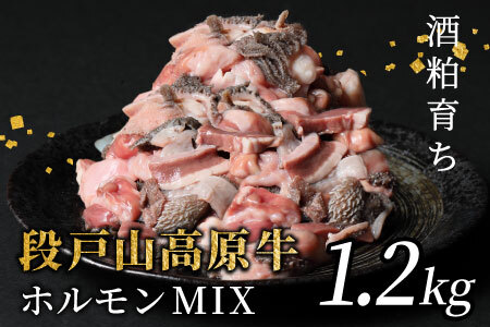 Y iˎR zMIX 1.2kg  ēp z zĂ  ē BBQ Lv  SĂ -191