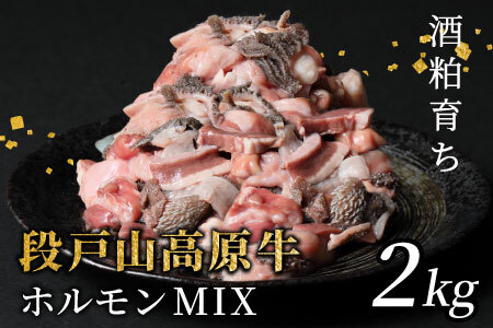Y iˎR zMIX 2kg  ēp z zĂ  ē BBQ Lv  SĂ -192