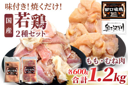 奥三河どり使用! 田口塩鶏 国産 若鶏味付け肉 2種セット 1.2kg(もも肉300g×2・むね肉300g×2)もも肉 むね肉 塩ダレ 味付け肉 鶏肉 キャンプ バーベキュー 大容量 手軽 焼くだけ 地鶏 焼肉 焼き鳥 -170