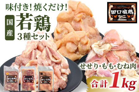 奥三河どり使用! 田口塩鶏 国産 若鶏味付け肉 3種セット 1kg(もも肉300g×1・むね肉300g×1・せせり200g×2)もも肉 むね肉 塩ダレ 味付け肉 鶏肉 キャンプ バーベキュー 大容量 地鶏 焼肉 焼き鳥 -169