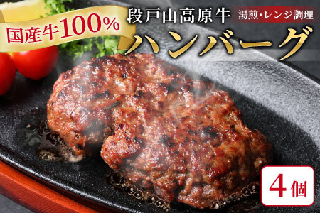国産 牛肉 100%使用! ハンバーグ レンジ可 湯煎 加熱済 4個 個包装 100g 国産牛 牛 着色料 保存料 化学調味料 不使用 牛肉ハンバーグ 肉 肉汁 -094