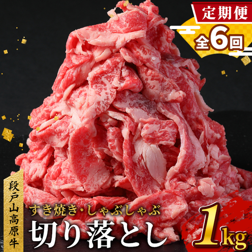【全6回 定期便】 段戸山高原牛 切り落とし 1kg (200g×5）定期便 牛肉 肉 国産牛 焼肉 すき焼き しゃぶしゃぶ 不揃い 冷凍 愛知県 設楽町 国産 牛肉 牛 スライス 小分け 大満足 赤身 数量限定 牛肉切り落とし 牛切り落とし sukiyaki niku 蓬莱泉 牛丼 牛 定期便 幻の牛 ブランド牛 -231
