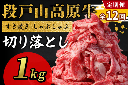 [全12回 定期便] 段戸山高原牛 切り落とし 1kg (200g×5)定期便 牛肉 肉 国産牛 焼肉 すき焼き しゃぶしゃぶ 不揃い 冷凍 愛知県 設楽町 国産 牛肉 スライス 小分け 大満足 赤身 数量限定 牛肉切り落とし 牛切り落とし sukiyaki niku 蓬莱泉 牛丼 酒粕育ち ブランド -232