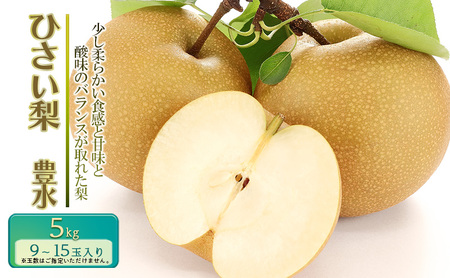 [先行予約]ひさい梨 豊水 5kg[果樹 秀専] [ 梨 ナシ 果物 フルーツ 産地直送 ]