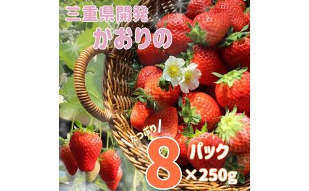 三重県産いちご 「かおり野」 8P [ 250g×8パック 2kg 三重県産オリジナル品種 果物 フルーツ 苺 イチゴ 人気 果肉かため 甘味強く酸味おだやか ]