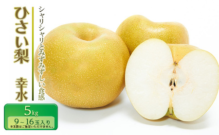 ys\zЂ K 5kgyʎ Gz [  iV ʕ t[c Yn ]