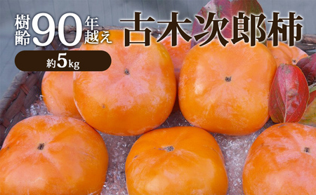 樹齢90年越え古木次郎柿 約5kg [ かき カキ 果物 フルーツ 産地直送 ] 果物類 