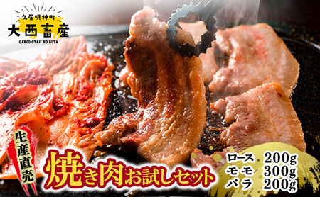 生産直売 焼き肉お試しセット | 肉 お肉 焼肉 BBQ バーベキュー 肩ロース バラ肉 モモ肉