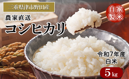 三重県津市産 コシヒカリ 5kg | 精米 白米 ご飯 津市 三重県