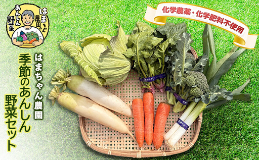 はまちゃん農園・季節のあんしん野菜 6品目セット | 三重県 津市産 こだわり野菜