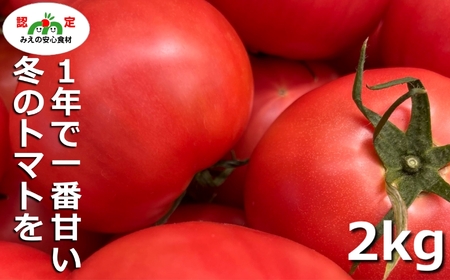 鈴鹿山麓トマト「桃太郎トマト」箱詰め(中箱2kg前後)[トマト ミニトマト 採れたて 自然 栽培 水耕栽培 野菜 甘い あまい おいしい 美味しい 三重県 四日市市 ふるさと納税]