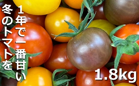 鈴鹿山麓トマト「カラフルミニトマト」箱詰め(1.8kg入り)[トマト ミニトマト 採れたて 自然 栽培 水耕栽培 野菜 甘い あまい おいしい 美味しい 三重県 四日市市 ふるさと納税]