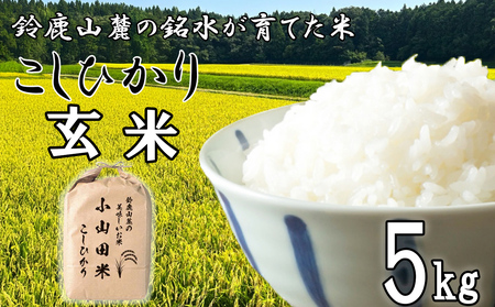 [令和7年度先行予約]こしひかり (玄米)5kg 鈴鹿山麓の銘水が育てた米、米どころ三重県産小山田地区「こしひかり(玄米)」5kg 小山田米