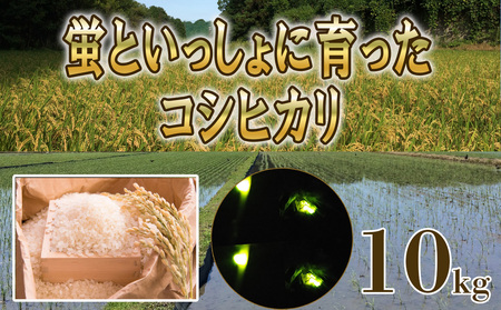 [R7年先行予約]コシヒカリ 10kg 蛍と一緒に育てたコシヒカリ 米どころ三重県産うつべ農園米[令和7年11月発送]