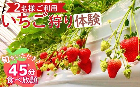 [ふるさと納税]四日市で旬の味を体験!「いちご狩り」ペアご利用(申込期日 令和8年3月31日まで) 45分間食べ放題 愛成ベリー[章姫 あきひめ 紅ほっぺ 苺狩り]