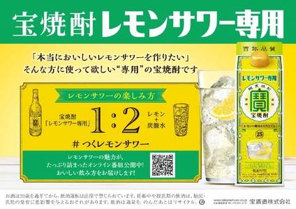 宝焼酎 甲25° 宝 レモンサワー用パック 500ml 12本