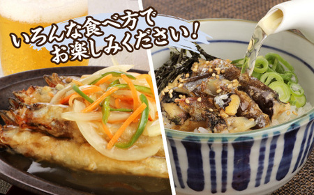 国内加工 塩ししゃも 5箱セット