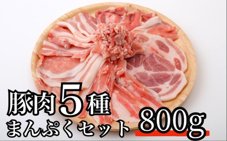 全部の部位が楽しめるまんぷくセット 1セット5袋入 豚肉