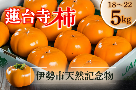 1770@ɐsVRLO @䎛` ʏi @䎛` @䎛 ` 5s ʕ Â VRLO ɐ { H̖o ߕi ` Â` lCi i