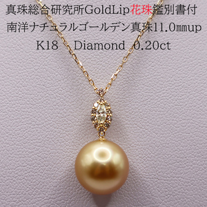 1955 [真珠総合研究所GoldLip花珠鑑別書付]K18 南洋ナチュラルゴールデン真珠11.0㎜up ダイヤモンド0.20ct ペンダントネックレス