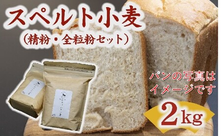 [1-405]松阪産スペルト小麦 2kg (精粉・全粒粉セット)