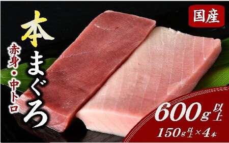 国産本まぐろ中トロ赤身冷凍短冊セット 600g以上 〔2025年10月配送分〕( まぐろ マグロ 本まぐろ 鮪 中トロ 赤身 まぐろ刺身 国産本マグロ )