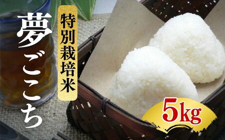 夢ごこち[特別栽培米]精米 5kg(減農薬 有機肥料 お米 米 おこめ こめ 白米 ゆめごこち)[002313]