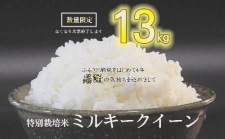 【1-254】ミルキークイーン（特別栽培米）13kg【期間限定】