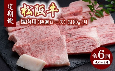 [12月31日受付終了!翌年4〜9月の月1回合計6回の定期便]松阪牛焼肉(特選ロース500g)(ギフト箱入)[24-3]