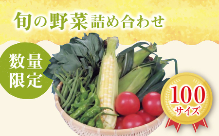 旬の野菜詰合せ おまかせセット【限定20/月】【1-7】