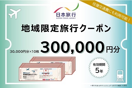 三重県桑名市　日本旅行　地域限定旅行クーポン300,000円分　チケット 旅行 宿泊券 ホテル 観光 旅行 旅行券 交通費 体験 宿泊 夏休み 冬休み 家族旅行 ひとり カップル 夫婦 親子 トラベルクーポン 桑名旅行　l_04
