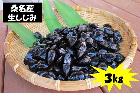 a#34 丸元水産 桑名産蜆(シジミ)3kg