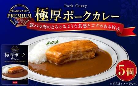 プレミアム 極厚ポークカレーセット 240g×5パック 計1.2kg カレーライス 豚肉 湯煎