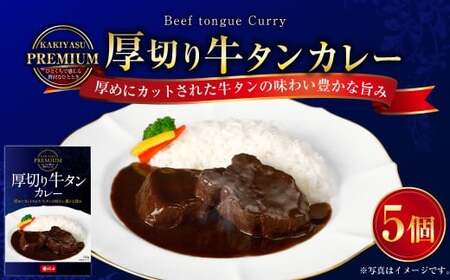 プレミアム 厚切り牛タンカレーセット 200g×5パック 計1kg カレーライス 牛肉 湯煎