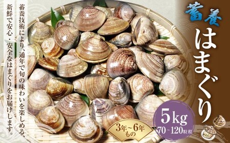 ywK{z ~{͂܂ 3N`6N 5kg n}O  L JC   CN C̍K ①