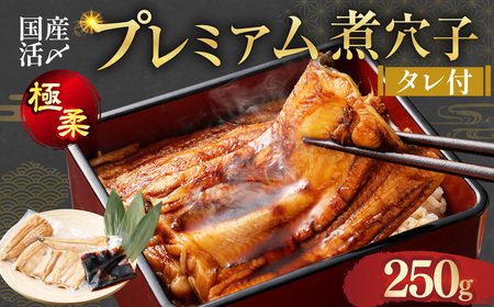 飯田商店 国産活〆 プレミアム 煮穴子 250g( 250g×1袋 ) タレ付 魚介 魚介類 鮮魚 海鮮 魚 お魚 煮込み あなご 穴子 煮穴子 おかず 惣菜