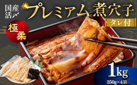 飯田商店 国産活〆 プレミアム 煮穴子 1kg（ 250g×4袋 ） タレ（50g）付 魚介 魚介類 鮮魚 海鮮 魚 お魚 煮込み あなご 穴子 煮穴子 おかず 惣菜 