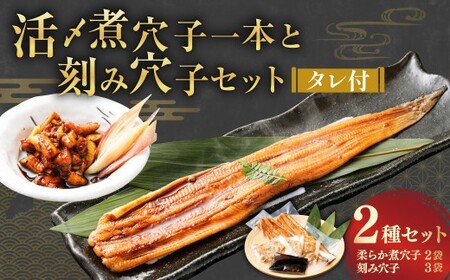 飯田商店 活〆煮穴子一本と刻み穴子のセット タレ付 魚介 魚介類 鮮魚 海鮮 魚 お魚 煮込み あなご 穴子 煮穴子 おかず 惣菜