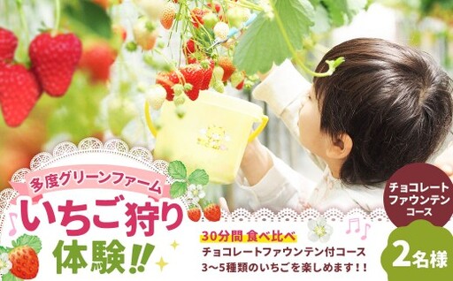 多度グリーンファーム いちご狩り体験 2名様 / 体験 経験 いちご狩り チョコレートファウンテン いちご イチゴ 苺