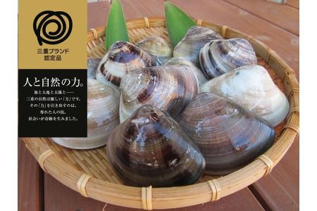 丸元水産 桑名産蛤(ハマグリ)0.7kg_はまぐり 魚介 貝 魚貝 活はまぐり 焼きはま 海鮮 網焼き 酒蒸し お吸い物 パエリア パスタ a*92