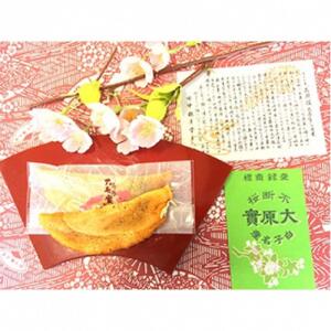 不断桜大原實 20個入