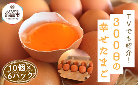 TVłЉI鎭śu300̍K܂v 10×6pbN